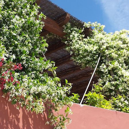 Gato Preto De Silves - Adults Only Bed and Breakfast Exteriör bild