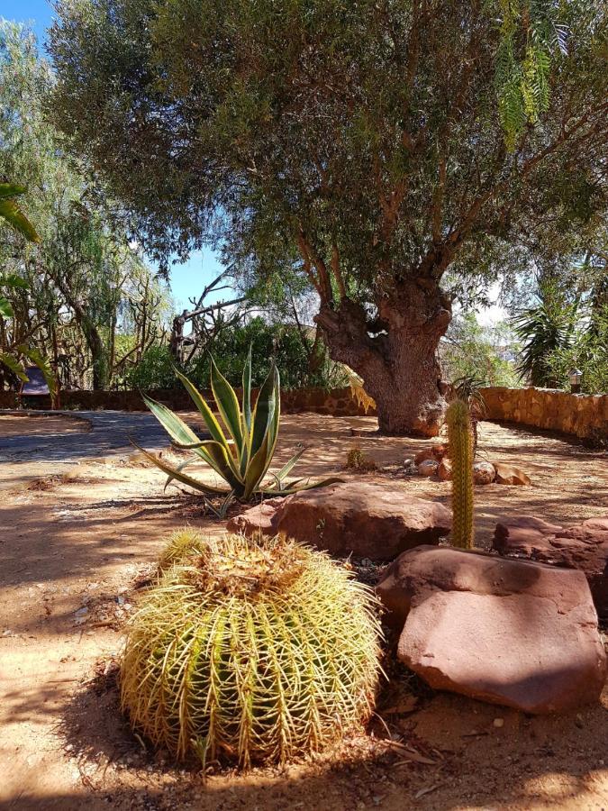 Gato Preto De Silves - Adults Only Bed and Breakfast Exteriör bild