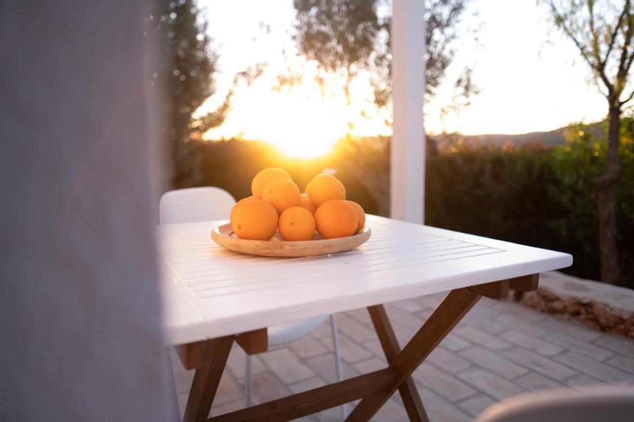 Gato Preto De Silves - Adults Only Bed and Breakfast Exteriör bild